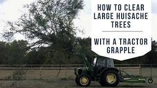 How to Easily Clear Medium to Large Huisache Trees with a Tractor and Grapple [upl. by Enasus]