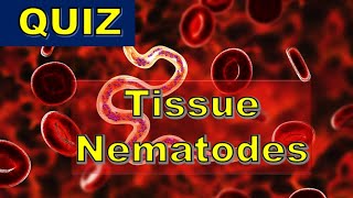 QUIZ  Tissue Nematode infections W bancrofti B malayi L loa O volvulus T spiralis [upl. by Dygal]