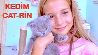 Bir Kedim Oldu CatRin İçin Odamda Yer Açıyorum Ecrin Su Çoban [upl. by Odlaner]