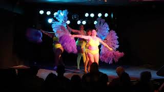 Sugar Blue Burlesque Academy Fan Dancing Hilton [upl. by Sallyann737]