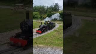 train steamengine Afon glaslyn attacking the climb to Holmpton [upl. by Ilrak942]