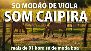 O Som Da Roça  MODÃO DE VIOLA 2324  Alegra A Vida Do Caipira  Viola CaipiraSertanejo Raiz [upl. by Essie]