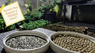 Should I Buy Pelleted Or Regular Seed [upl. by Tammi815]