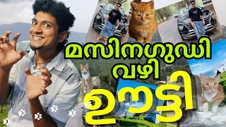 Masinagudi Vazhi Ooty  മസിനഗുഡി വഴി ഊട്ടി  Malayalam Vine  Ikru [upl. by Elene887]