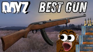 Why The Sporter 22 Is The BEST Gun In Dayz [upl. by Cooke]