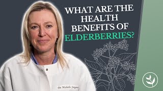 The Health Benefits Of Elderberries Immune Energy Sleep Healing And More [upl. by Jurgen5]