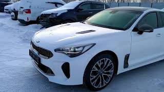 KIA Stinger 20 л 247 лс турбо Полный привод Прямой эфир без монтажа Омск ФилАвто [upl. by Urbain]