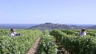 Vendanges en Sancerrois par l Orchestre Dominique et Stéphanie FLOQUET [upl. by Eniamahs]