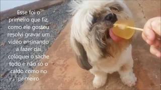 Picolé para cachorro feito com sache pedigree [upl. by Lahcear]