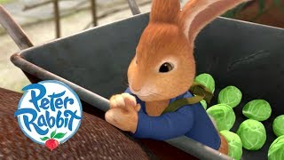 Peter Rabbit  Rescuing the Ladybird  Cartoons for Kids [upl. by Rosdniw319]