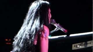 Evanescence  My Immortal Live [upl. by Schilling]