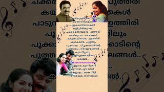 വെള്ളാരം കുന്നിലേറി vellaram kunnileriChitra hitsmalayalam songlyrics chitra [upl. by Taite896]