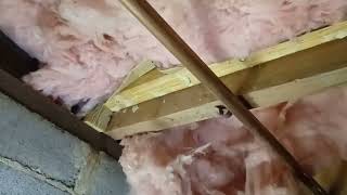 Joist repair trick structuralinspection homeinspections realestate [upl. by Aynos]