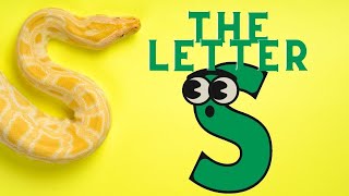 The Letter S Song  Lets Learn amp Sing  Fun Learning Songs for Kids [upl. by Brit]