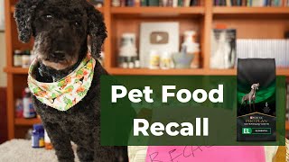 New Pet Food Recall [upl. by Vitkun334]