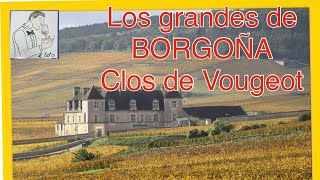 104 Los grandes VINOS de BORGOÑA CLOS DE VOUGEOT [upl. by Onfre413]