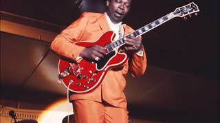 BB King Live in Bremen Germany  1968 full concert  audio only [upl. by Acinorej]