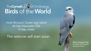 BOW Discovery Webinar Avian Taxonomy Update 2022 [upl. by Sarita]