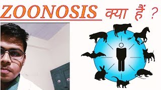 WHat is ZOONOSIS  definition  explanation  hindi  English [upl. by Katleen]