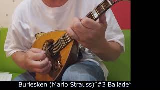 【Mandolin】Burlesken Marlo Strauss “4 Spanischer Tanz” [upl. by Ymled]