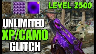 Black Ops 6 MAX level glitch NEW Unlimited CAMO WEAPON XP glitch Black Ops 6 GOD MODE GLITCH Zombies [upl. by Suzzy]