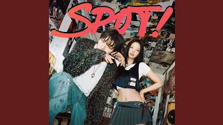 ZICO – SPOT feat JENNIE Instrumental [upl. by Leshia]