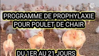 PROGRAMME DE PROPHYLAXIE POUR POULET DE CHAIR DU PREMIER AU 21ÈME JOUR [upl. by Vanna]