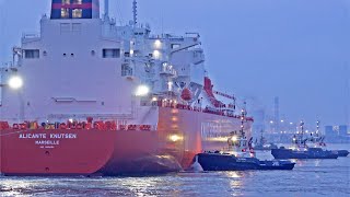 EVENING MARINE TRAFFIC AT ROTTERDAM PORT  4K SHIPSPOTTING ROTTERDAM NETHERLANDS 2023 [upl. by Georgiana]