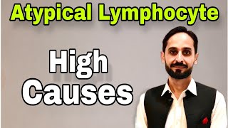 Atypical Lymphocytes  What is Atypical Lymphocyte  High Atypical Lymphocytes Causes [upl. by Hterrag]