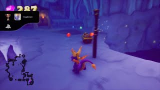 TriathlonSpyro Reignited Trilogy 5 [upl. by Ocihc]