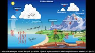 El ciclo del agua  Ecología  Biología  Khan Academy en Español [upl. by Nayk]