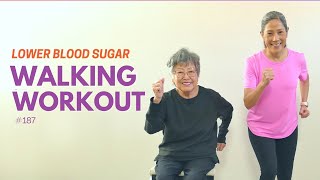 20 Min Walking Workout  Exercise to Lower Blood Sugar [upl. by Vial474]