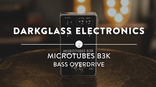 Darkglass Electronics Micro Tubes B3K Bass Overdrive  Reverb Demo Video [upl. by Vinita]