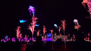 Fête des lumières 2019  rétrospective [upl. by Lazaro]