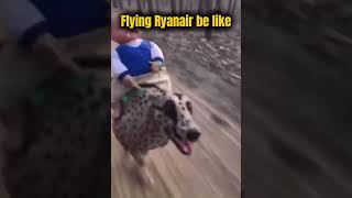 Ryanair landings be like… I don’t hate Ryanair I actually love it [upl. by Loesceke]