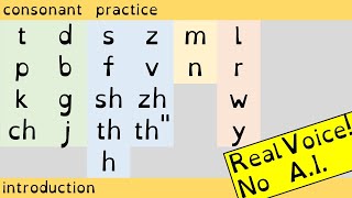 Understanding Consonants Stop Fricative Nasal and Gliding Consonants Explained PhonicsLesson [upl. by Siro]