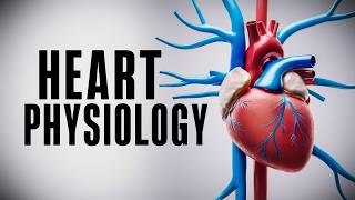 The Cardiac Cycle Simplified  What You Need to Know [upl. by Michaele]