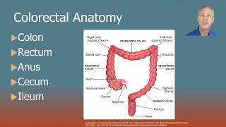 2018 Colorectal Surgery CPT Coding [upl. by Hylton]