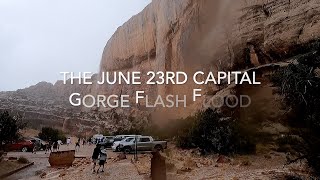 Capitol Gorge flash flood rescue June 23rd 2022 [upl. by Tobye]