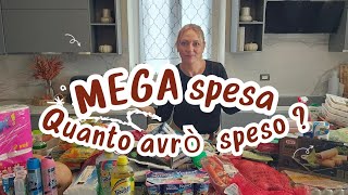 MEGA SVUOTA LA SPESA SPESA MENSILE [upl. by Ynottirb362]