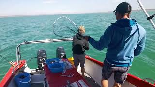 Fishing for Stumpnose Langebaan lagoon [upl. by Oyr]