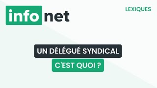 Un délégué syndical cest quoi  définition aide lexique tuto explication [upl. by Nonnag]