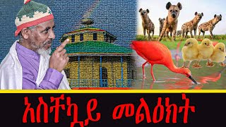 live አስቸኳይ መልዕክት [upl. by Odlavu614]