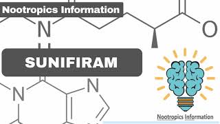 Sunifiram  Nootropics Information [upl. by Elbag]