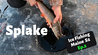 Splake  Ice Fishing Maine 2021 Ep2 [upl. by Devondra]