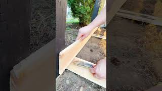 Easy DIY Privacy Fence for cheap 🪚 [upl. by Hooge289]