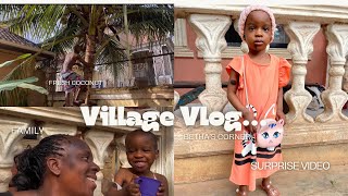 Surprising My 2YearOld Niece Her Priceless Reaction  A Day in My Life in the Village [upl. by Engapmahc]