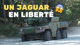 Tests de mobilité le Jaguar sort ses griffes [upl. by Airotahs272]