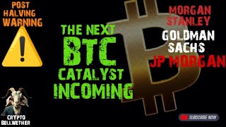 Bitcoins next leg up is incoming  Wall Street Retail Catalyst to pump BTC mainstream bitcoinnews [upl. by Anib857]