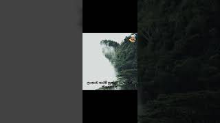 sri lanka 🇱🇰  short video  pathum vlogs😍 [upl. by Miche]